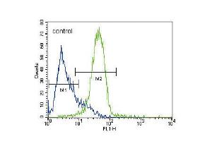Flow cytometric analysis of HepG2 cells (right histogram) compared to a negative control cell (left histogram). (GATA4 antibody  (C-Term))