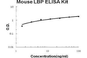 Mouse LBP PicoKine ELISA Kit standard curve
