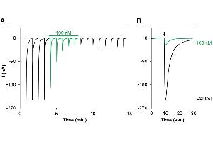 alpha-conotoxin GI peptide