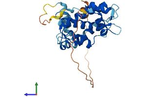 AlphaFold protein structure predicition of Mouse Recombinant Capns2 Protein, UniprotID Q9D7J7