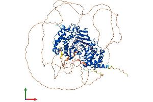 AlphaFold protein structure predicition of Mouse Recombinant Parg Protein, UniprotID O88622 (PARG Protein (PARG) (AA 1-969) (His tag))