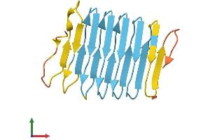 AlphaFold protein structure predicition of Human Recombinant KRTAP12-2 Protein, UniprotID P59991 (KRTAP12-2 Protein (AA 1-146) (His tag))