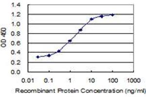 Detection limit for recombinant GST tagged IGFBP3 is 0. (IGFBP3 antibody  (AA 182-291))