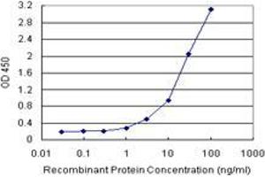 Sandwich ELISA detection sensitivity ranging from 3 ng/mL to 100 ng/mL. (ASB9 (Human) Matched Antibody Pair)