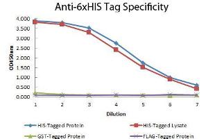 ELISA of Mouse anti-6xHIS Tag Antibody. (His Tag antibody  (HRP))