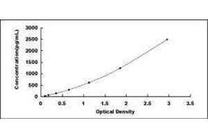 ELISA image for Pro-Brain Natriuretic Peptide (NT-ProBNP) (NT-ProBNP) ELISA Kit (ABIN415013) (NT-ProBNP ELISA Kit)