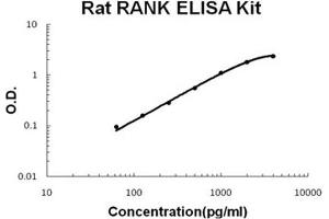 ELISA image for Tumor Necrosis Factor Receptor Superfamily, Member 11a, NFKB Activator (TNFRSF11A) ELISA Kit (ABIN1889423)