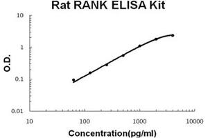 Rat RANK PicoKine ELISA Kit standard curve (TNFRSF11A ELISA Kit)