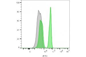 Flow cytometry analysis of lymphocyte-gated PBMCs unstained (gray) or stained with CF488A-labeled CD4 mouse monoclonal antibody (C4/206)(green) (CD4 antibody)