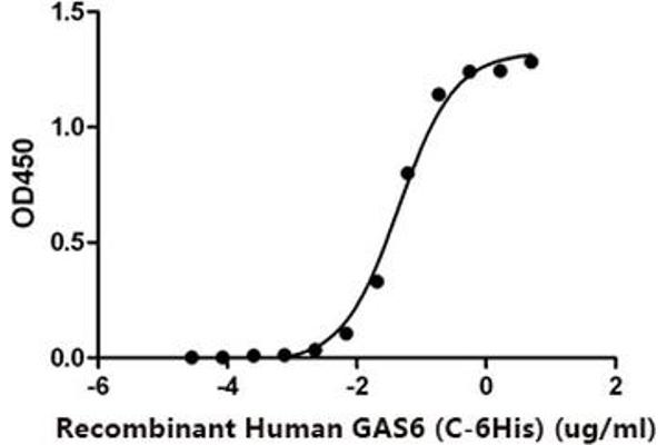 GAS6 Protein (His tag)