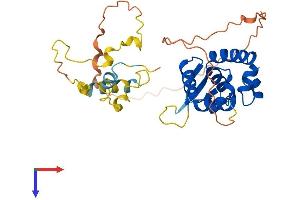 AlphaFold protein structure predicition of Mouse Recombinant Foxr2 Protein, UniprotID Q3UM89