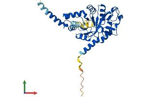 Protein Structure (PS) image for Glycerophosphodiester Phosphodiesterase Domain Containing 3 (GDPD3) (AA 1-330) protein (His tag) (ABIN7560389)