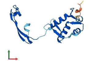 AlphaFold protein structure predicition of Human Recombinant FKBP9P1 Protein, UniprotID Q75LS8 (FKBP9P1 Protein (AA 1-142) (His tag))