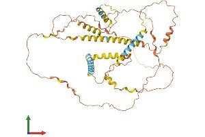 AlphaFold protein structure predicition of Human Recombinant NPIPB6 Protein, UniprotID E9PJ23 (NPIPB6 Protein (AA 1-425) (His tag))