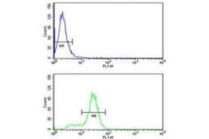 Keratin-14 antibody flow cytometry analysis of MDA-MB231 cells (bottom histogram) compared to a negative control (top histogram). (KRT14 antibody  (AA 276-303))