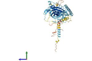 AlphaFold protein structure predicition of Mouse Recombinant Mks1 Protein, UniprotID Q5SW45