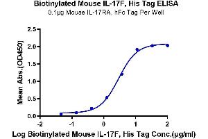 Immobilized Mouse IL-17RA , hFc Tag at 1 μg/mL (100 μL/Well) on the plate. (IL17F Protein (AA 29-161) (His-Avi Tag,Biotin))