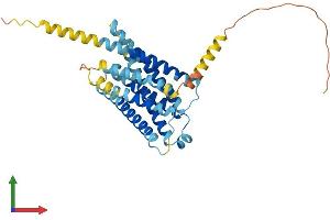 AlphaFold protein structure predicition of Mouse Recombinant Mrgprb8 Protein, UniprotID Q7TN51 (MRGPRB8 Protein (AA 1-330) (His tag))