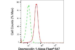 Flow cytometric analysis of Desmocollin 1 expression in HepG2 cells using Desmocollin 1 antibody (ABIN7798315), 1:2,000). (Recombinant Desmocollin 1 antibody)