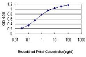 Detection limit for recombinant GST tagged ENO3 is approximately 0. (ENO3 antibody  (AA 228-277))