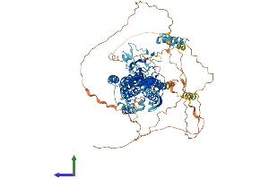 Protein Structure (PS) image for Rhomboid 5 Homolog 1 (RHBDF1) (AA 1-856) protein (His tag) (ABIN7564139)