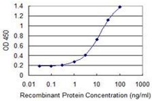 Detection limit for recombinant GST tagged HNF4A is 0. (HNF4A antibody  (AA 324-423))