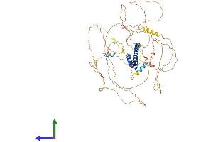AlphaFold protein structure predicition of Mouse Recombinant Kiz Protein, UniprotID Q3UXL4