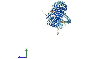 AlphaFold protein structure predicition of Mouse Recombinant Fbxl13 Protein, UniprotID Q8CDU4