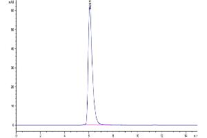 Size-exclusion chromatography-High Pressure Liquid Chromatography (SEC-HPLC) image for Interleukin 13 Receptor, alpha 1 (IL13RA1) (AA 27-343) protein (Fc Tag) (ABIN7275027)