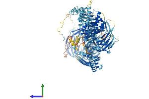 AlphaFold protein structure predicition of Mouse Recombinant Elp1 Protein, UniprotID Q7TT37 (IKAP/p150 Protein (AA 1-1333) (His tag))