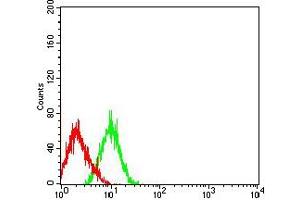 Flow cytometric analysis of HL-60 cells using CD203C mouse mAb (green) and negative control (red). (ENPP3 antibody  (AA 45-163))