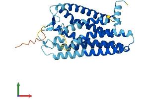 AlphaFold protein structure predicition of Human Recombinant OR2J3 Protein, UniprotID O76001 (OR2J3 Protein (AA 1-311) (His tag))