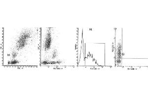 Image no. 1 for anti-CD38 antibody (PerCP-Cy5.5) (ABIN1106335) (CD38 antibody  (PerCP-Cy5.5))