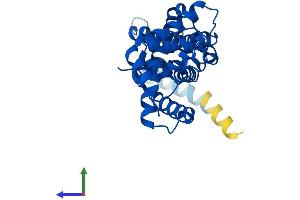 AlphaFold protein structure predicition of Human Recombinant ELMOD2 Protein, UniprotID Q8IZ81 (ELMOD2 Protein (AA 1-293) (His tag))