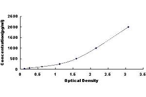 ELISA image for Vascular Endothelial Growth Factor C (VEGFC) ELISA Kit (ABIN416324) (VEGFC ELISA Kit)