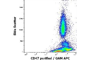Flow cytometry surface staining pattern of human peripheral blood stained using anti-human CD47 (MEM-122) purified antibody (concentration in sample 4 μg/mL, GAM APC). (CD47 antibody)