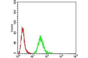 Flow Cytometry (FACS) image for anti-DEAD (Asp-Glu-Ala-Asp) Box Polypeptide 20 (DDX20) (AA 725-824) antibody (ABIN5542507)