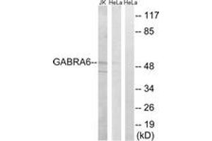 Western Blotting (WB) image for anti-gamma-aminobutyric Acid (GABA) A Receptor, alpha 6 (GABRA6) (AA 61-110) antibody (ABIN2890331)