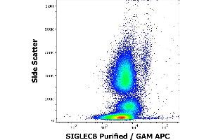 Flow cytometry surface staining pattern of human peripheral whole blood stained using anti-human SIGLEC8 (7C9) purified antibody (concentration in sample 6 μg/mL, GAM APC).