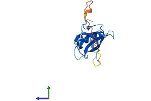 AlphaFold protein structure predicition of Mouse Recombinant Sh2d1b Protein, UniprotID O35324 (SH2D1B Protein (AA 1-132) (His tag))