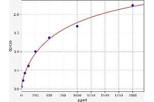 Typical standard curve (14-3-3 zeta ELISA Kit)