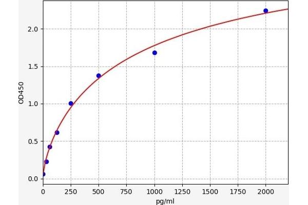 14-3-3 zeta ELISA Kit