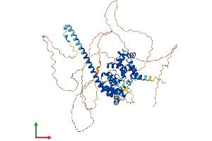 Protein Structure (PS) image for TBC1 Domain Family, Member 14 (TBC1D14) (AA 1-693) protein (His tag) (ABIN7544323)