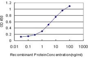 Detection limit for recombinant GST tagged SCGB3A2 is approximately 0. (SCGB3A2 antibody  (AA 1-93))