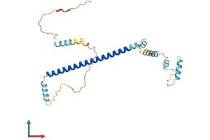 AlphaFold protein structure predicition of Human Recombinant CLTA Protein, UniprotID P09496 (CLTA Protein (AA 1-248) (His tag))