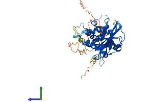Protein Structure (PS) image for Ubiquitin Specific Peptidase 17-Like Family Member 6 (USP17L6P) (AA 1-398) protein (His tag) (ABIN7544942)