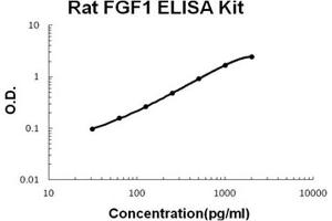 Rat FGF1 PicoKine ELISA Kit standard curve (FGF1 ELISA Kit)