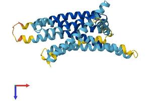 AlphaFold protein structure predicition of Mouse Recombinant Tas2r113 Protein, UniprotID Q7M711 (TAS2R113 Protein (AA 1-309) (His tag))