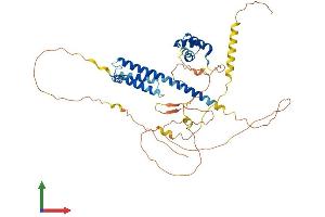 AlphaFold protein structure predicition of Mouse Recombinant Pknox2 Protein, UniprotID Q8BG99 (PKNOX2 Protein (AA 1-474) (His tag))