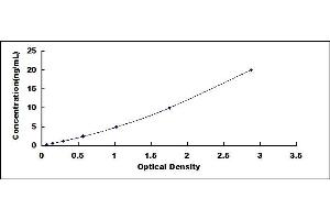 Typical standard curve (IGFBP6 ELISA Kit)